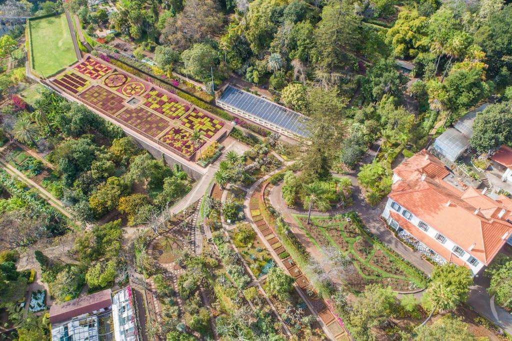 Garden House Villa Funchal  Eksteriør billede