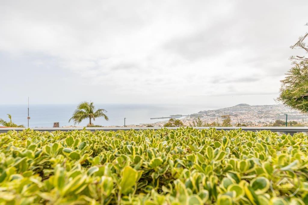 Garden House Villa Funchal  Eksteriør billede